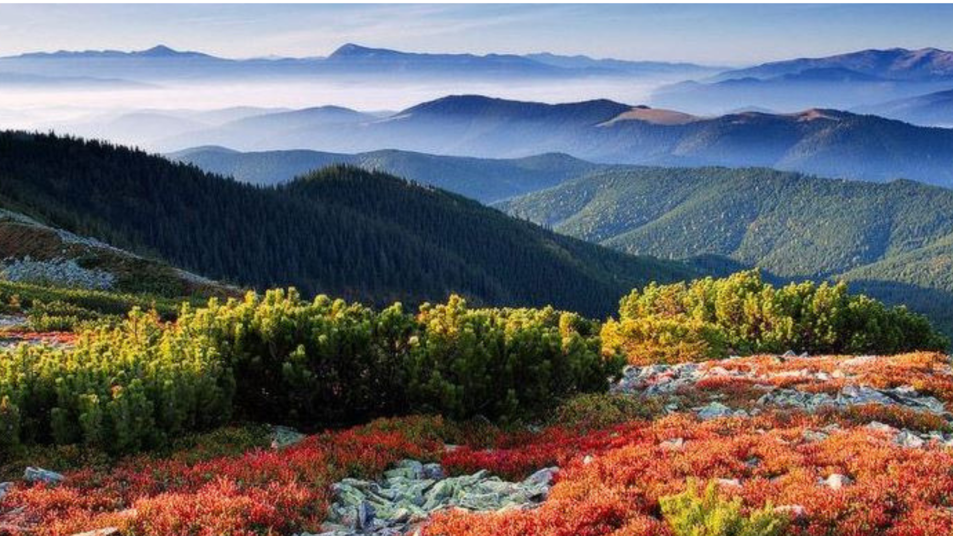 Де відпочити в Карпатах восени 2018: 5 цікавих маршрутів для любителів гір  