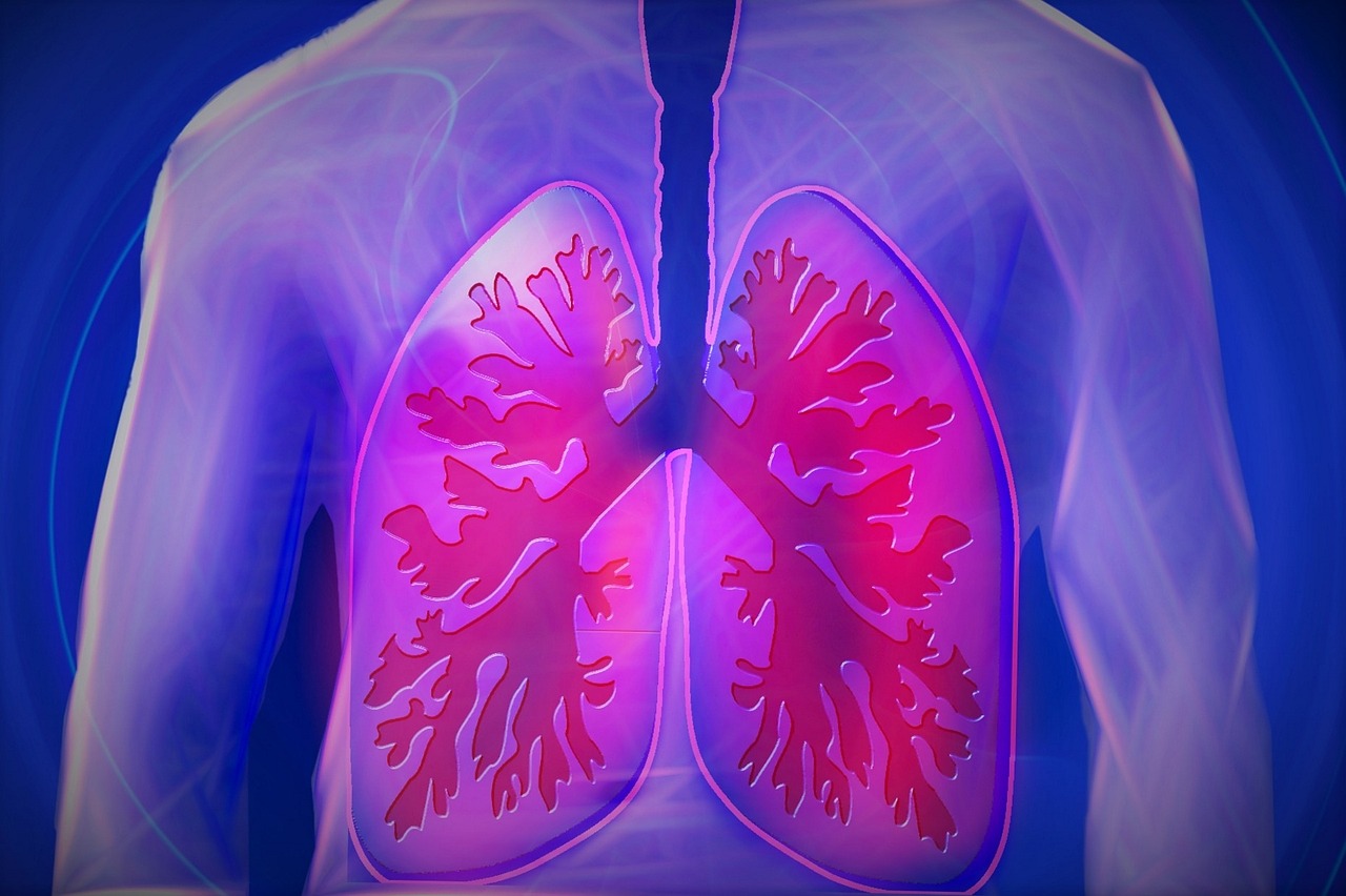 Вчені виявили, як визначити ризик розвитку захворювання легенів до його появи  