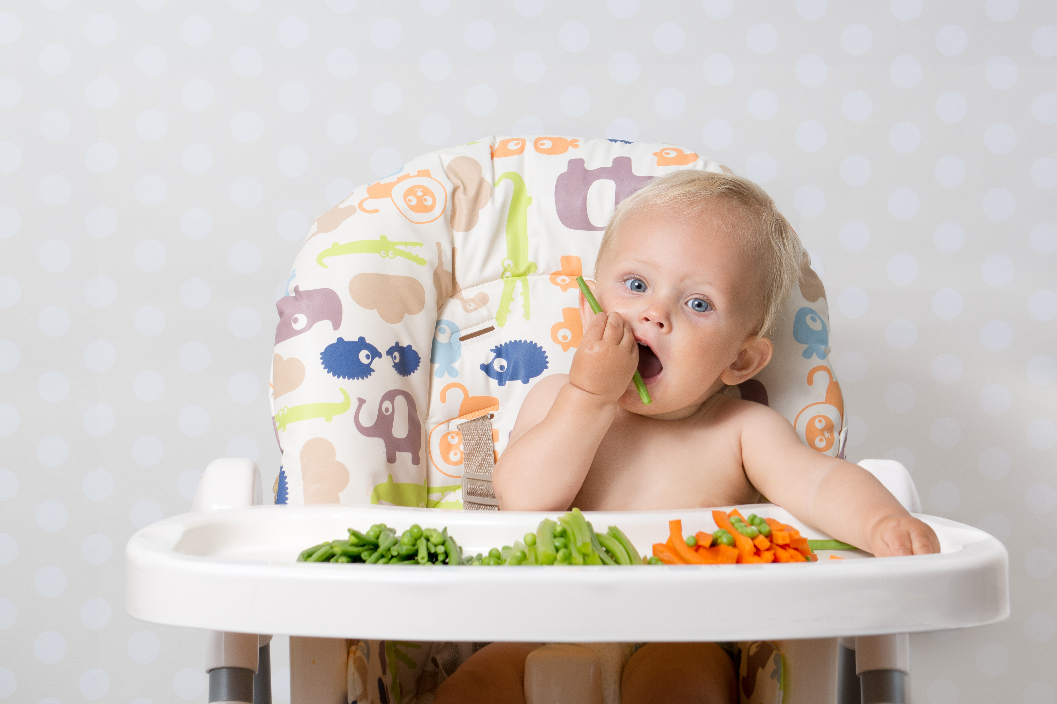 Корисні продукти для дитини: чим годувати дитину, щоб він ріс здоровим  