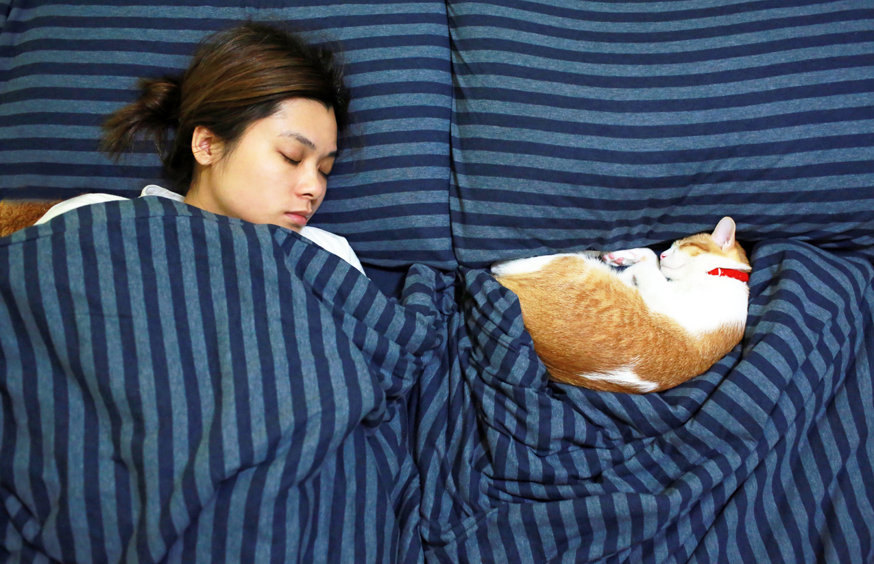 Ветеринари повідомляють, що спати з домашніми тваринами не рекомендується  