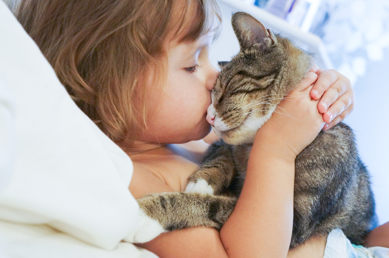 Вчені довели, що кішки можуть врятувати дитину від астми  