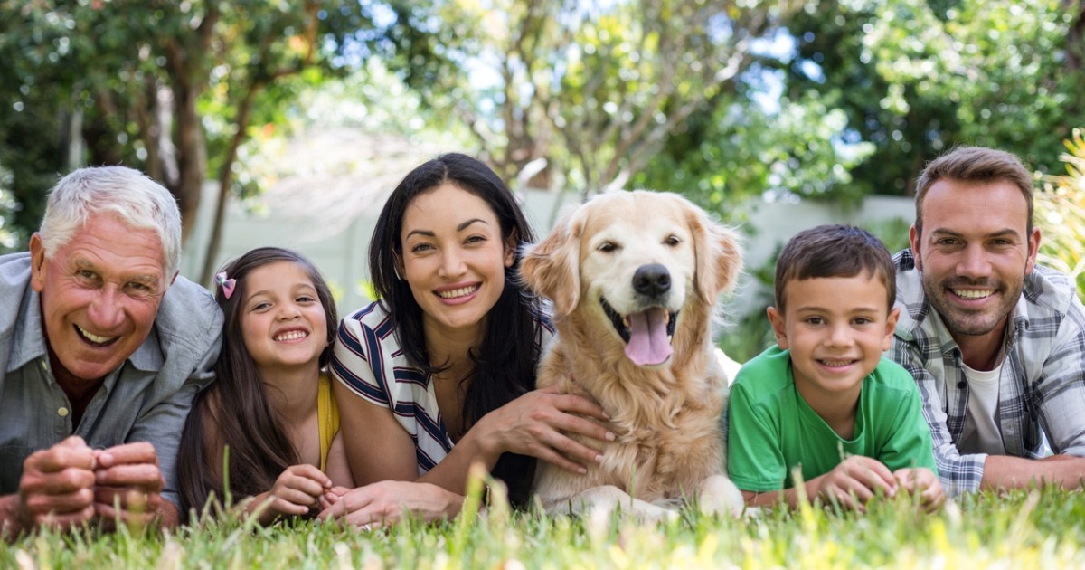 Породи собак, які стануть справжніми друзями для всіх членів сім'ї  