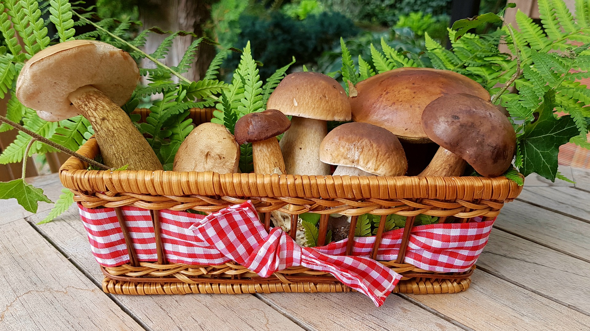 Тихий сезон: рецепти з грибами, які рекомендують популярні ресторани  
