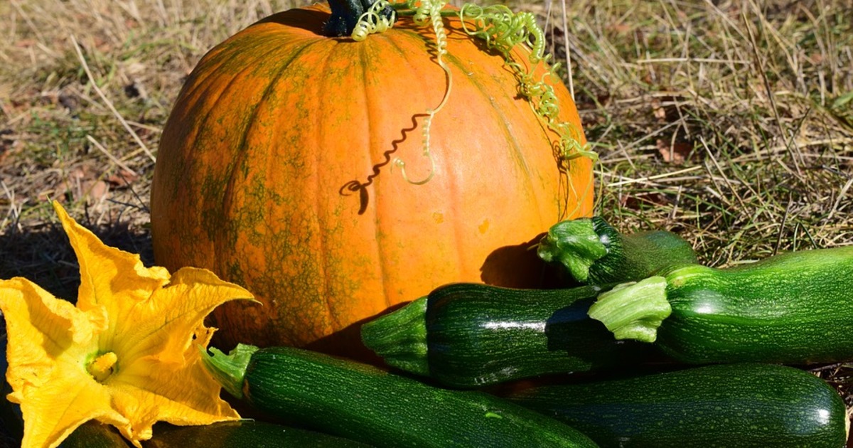Ненудні рецепти з гарбуза, які допоможуть спробувати осінь на смак  