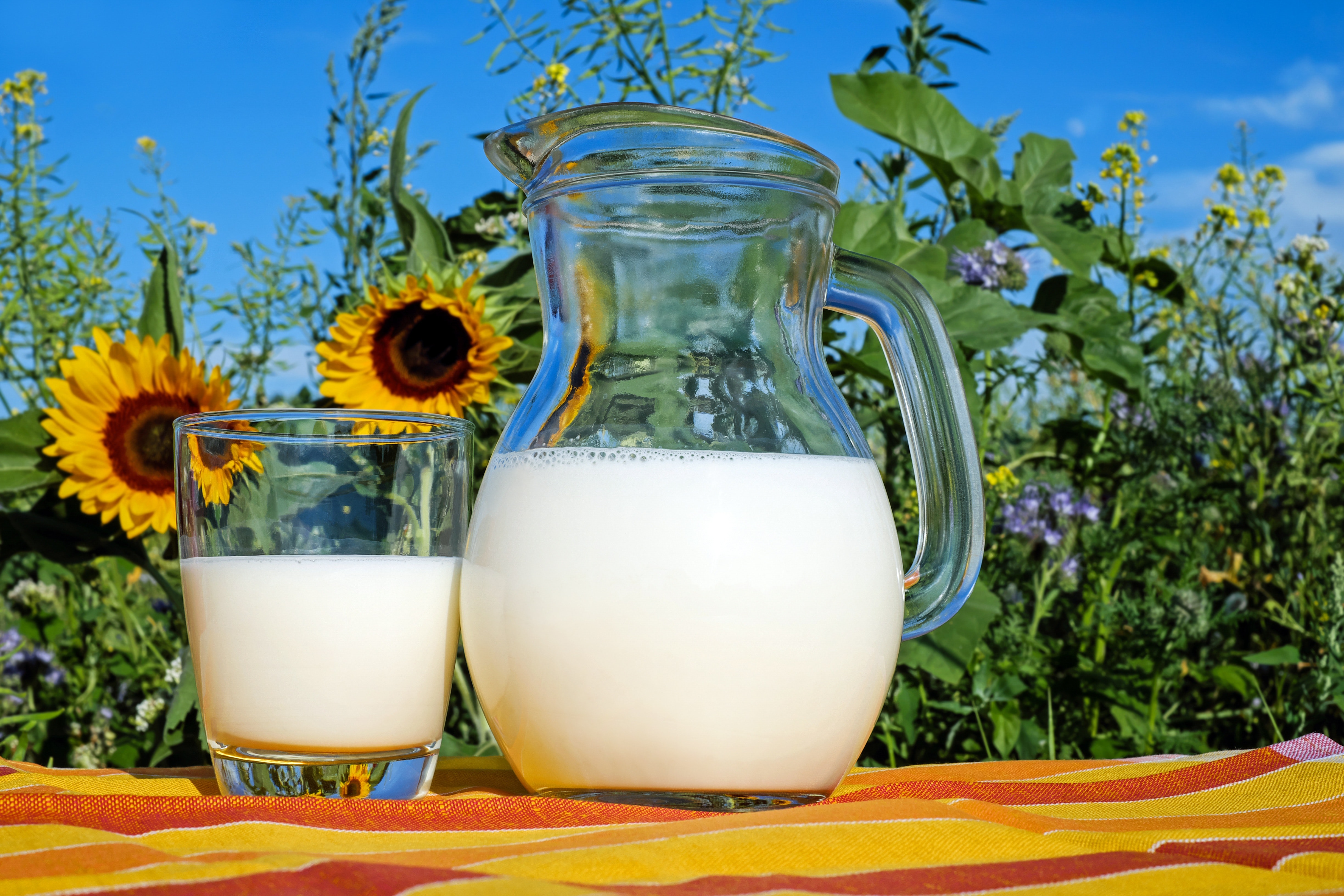 Що варто пити — тварина або рослинне молоко  