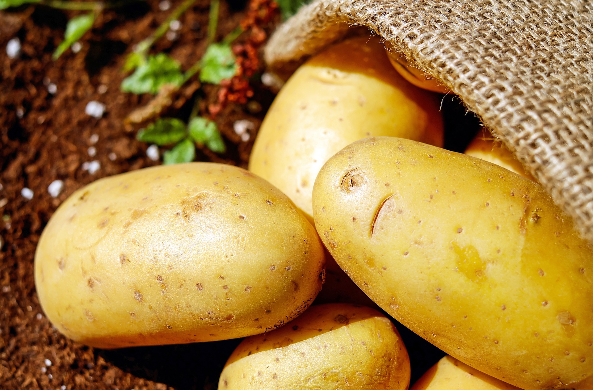 5 корисних рецептів приготування картоплі  